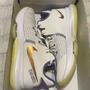 Men’s size 11 Nike Lebron Witness V summit white / bronze